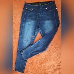 Nygard Luxe Denim 360 4-Way Stretch Jeggings Blue Ankle Zip Moto - Size L 14/16